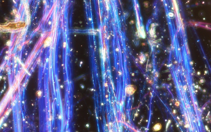 アスベスト（種類：クリソタイル）